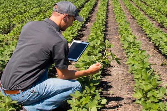 farm-management1 farm-management1